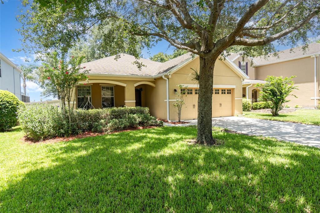 A single-story house with a tan exterior, two-car garage, and a large tree in front — 30308 CHEVAL STREET, MOUNT DORA, FL
