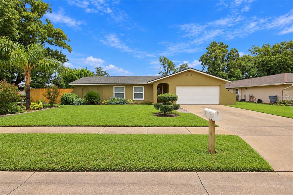 313 ROBIN HILL DRIVE
