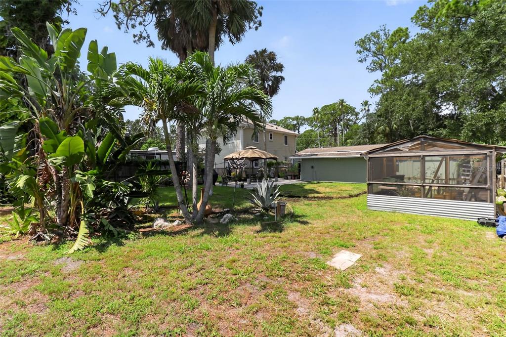 A single-story house with gray siding and brick features sits behind two large pine trees — 7212 WEDGEWOOD DRIVE, NEW PORT RICHEY, FL