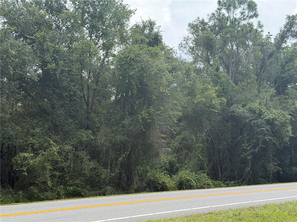 5075 N Carl G Rose HIGHWAY, HERNANDO, FL — photo 4 of 11