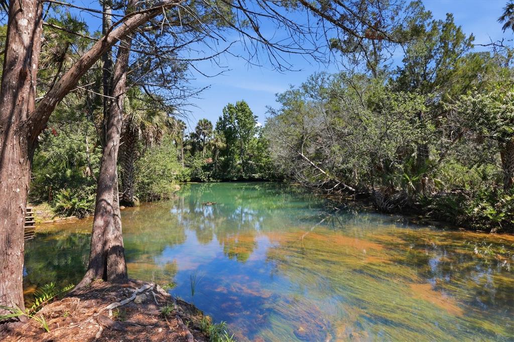 A scenic view of a clear, shallow creek flowing through a lush, wooded natural area — 6248 COLONY CIRCLE, WEEKI WACHEE, FL
