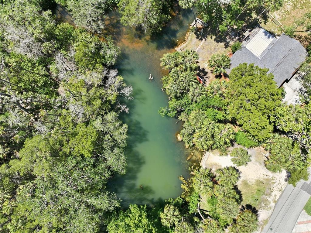 An aerial view shows a house situated next to a natural spring and dense trees — 6248 COLONY CIRCLE, WEEKI WACHEE, FL