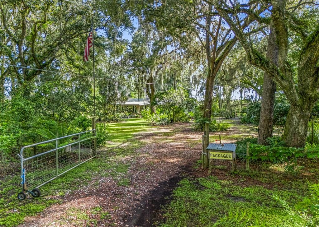 1295 N US 301, SUMTERVILLE, FL — photo 3 of 30