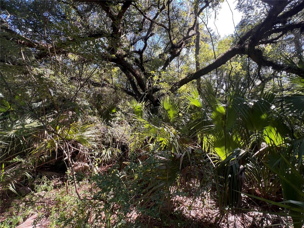 7923 N BITTEROOT DRIVE, CRYSTAL RIVER, FL — photo 2 of 3