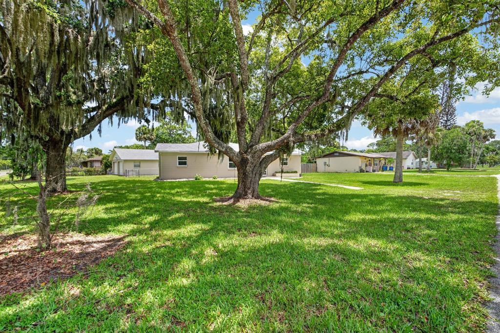 A large tree with Spanish moss stands in the front yard of a suburban house — 2205 JUNIPER DRIVE, EDGEWATER, FL