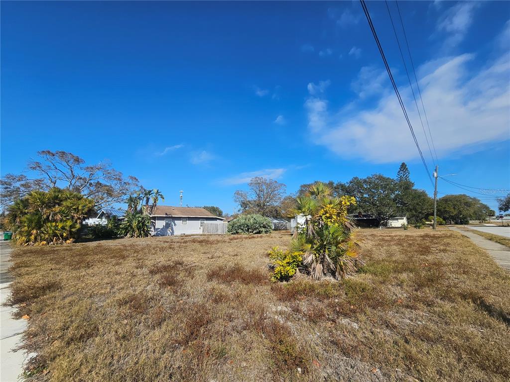 A vacant, grassy residential lot features several palm trees and a neighboring house in back — 132ND AVENUE, SEMINOLE, FL