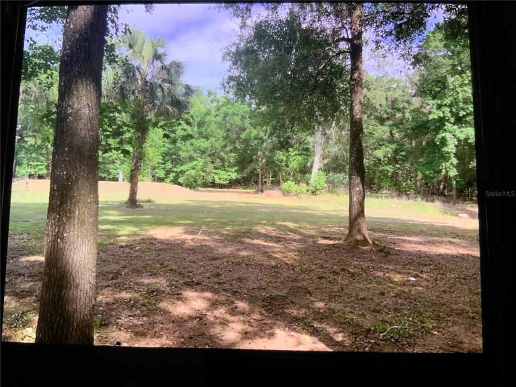 A view of a grassy, wooded lot with several large trees and a palm tree — 13080 NW 168TH PLACE, REDDICK, FL