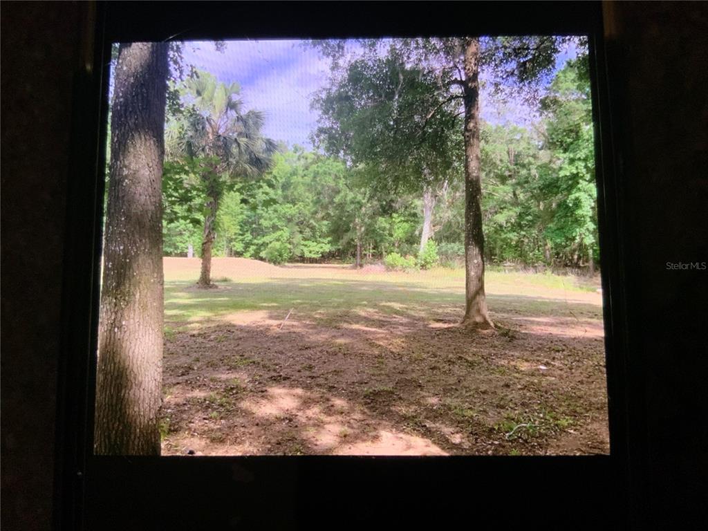 A view of a grassy, wooded backyard framed by two large trees — 13080 NW 168TH PLACE, REDDICK, FL
