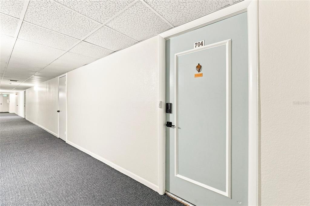 A light blue apartment door labeled 704 sits in a long, carpeted hallway — 19029 N US HIGHWAY 19 UNIT 9-704, CLEARWATER, FL
