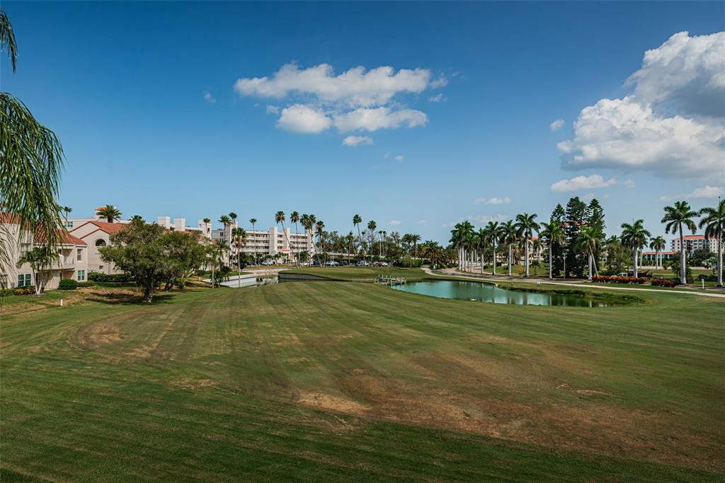 A grassy lawn leads to a small pond surrounded by palm trees and apartment buildings — 6020 BAHIA DEL MAR CIRCLE UNIT 226, ST PETERSBURG, FL