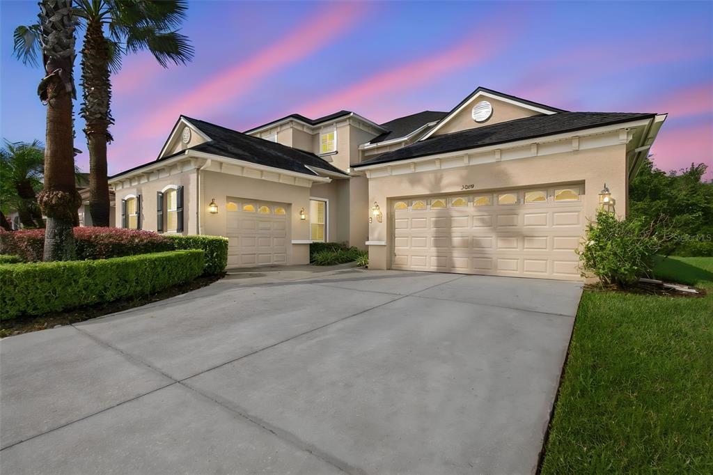 3339 DIAMOND FALLS CIRCLE, LAND O LAKES, FL — photo 3 of 100