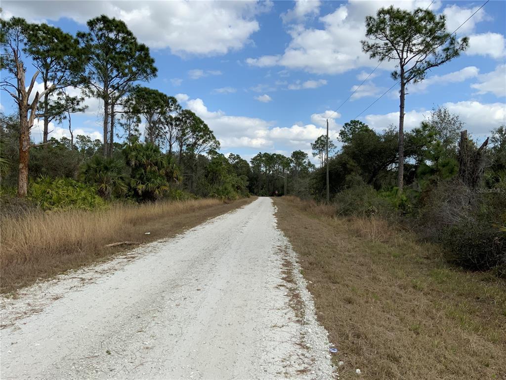 A gravel road stretches through a wooded area under a blue sky with clouds — 4219 E 30TH STREET, ALVA, FL