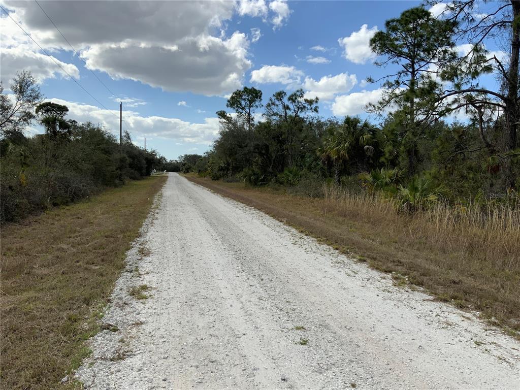 A gravel road stretches into the distance through a wooded area under a cloudy sky — 4219 E 30TH STREET, ALVA, FL