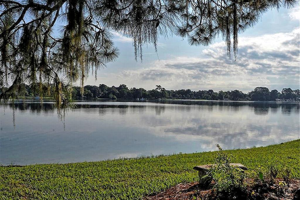 A grassy lawn overlooks a calm lake framed by overhanging pine tree branches — 3045 CECELIA DRIVE, APOPKA, FL