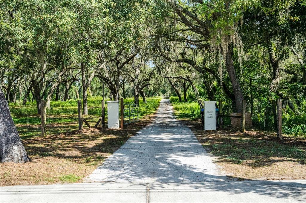 A paved driveway leads through a tree-lined entrance with white pillars at Shady Cove Ranch — 7625 CLARCONA OCOEE ROAD, ORLANDO, FL