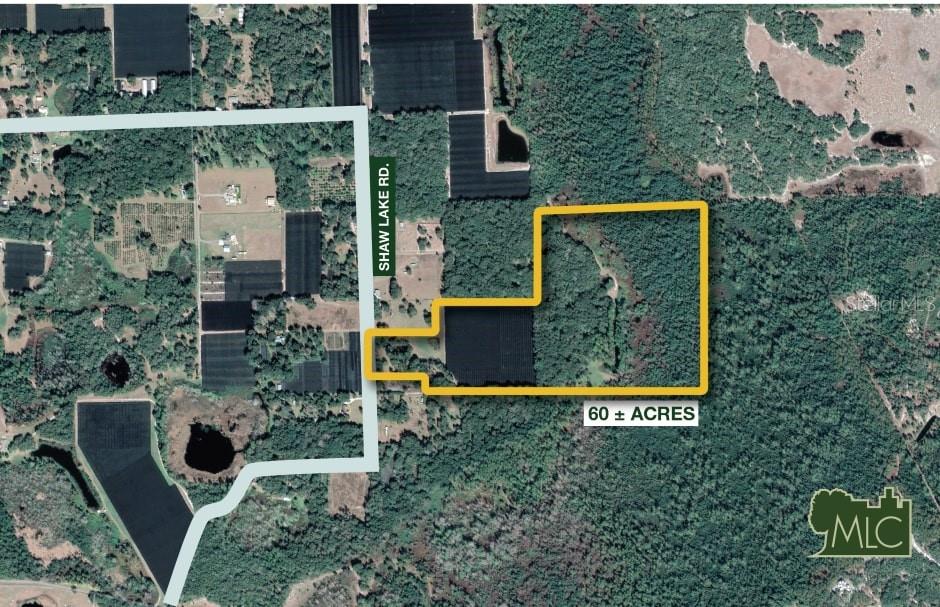 An aerial map shows a 60-acre parcel of land outlined in yellow along Shaw Lake Road — SHAW LAKE ROAD, PIERSON, FL