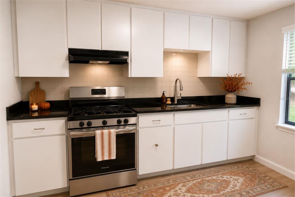 A kitchen features white cabinets, black countertops, stainless steel appliances, and a patterned area rug — 1330 MONTEREY DRIVE, EUSTIS, FL