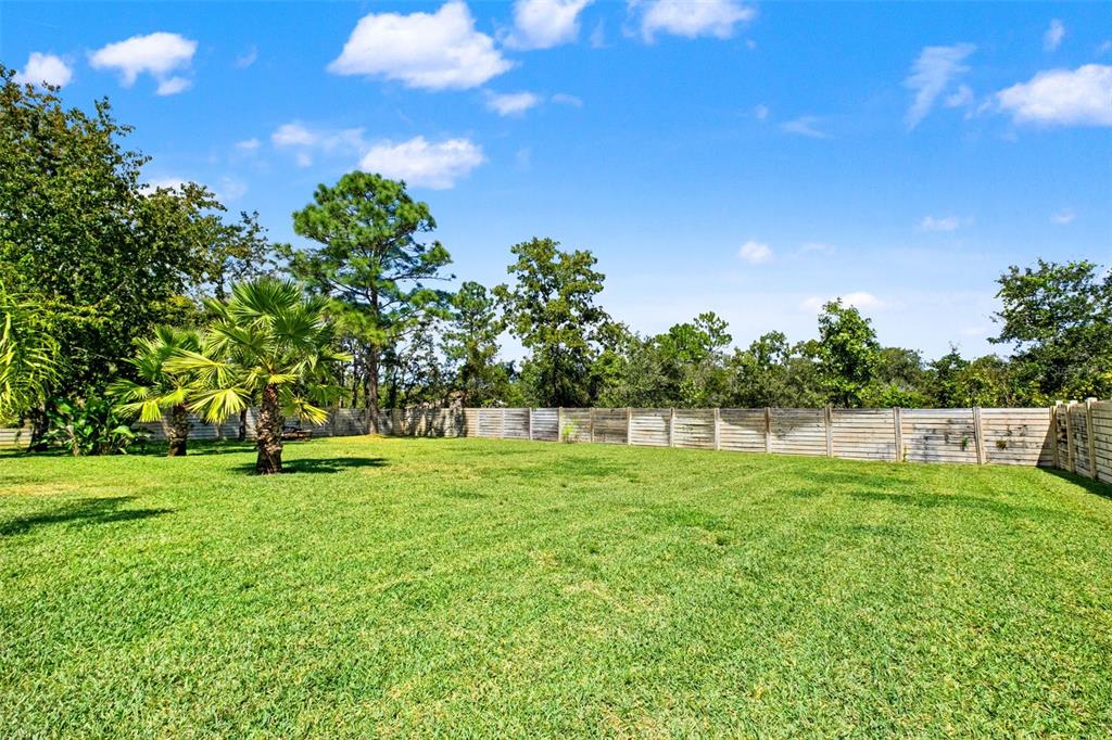 13049 MAYCREST AVENUE, WEEKI WACHEE, FL — photo 3 of 40