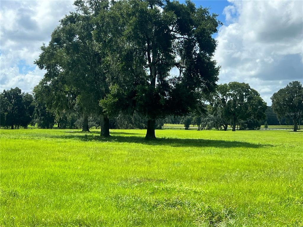 TBD NW 464B HIGHWAY, MORRISTON, FL — photo 2 of 11