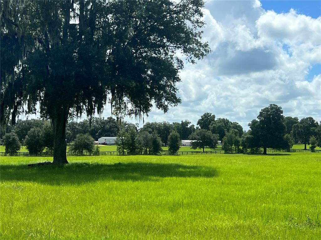 TBD NW 464B HIGHWAY, MORRISTON, FL — photo 3 of 11