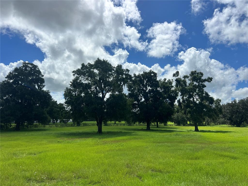 TBD NW 464B HIGHWAY, MORRISTON, FL — photo 4 of 11