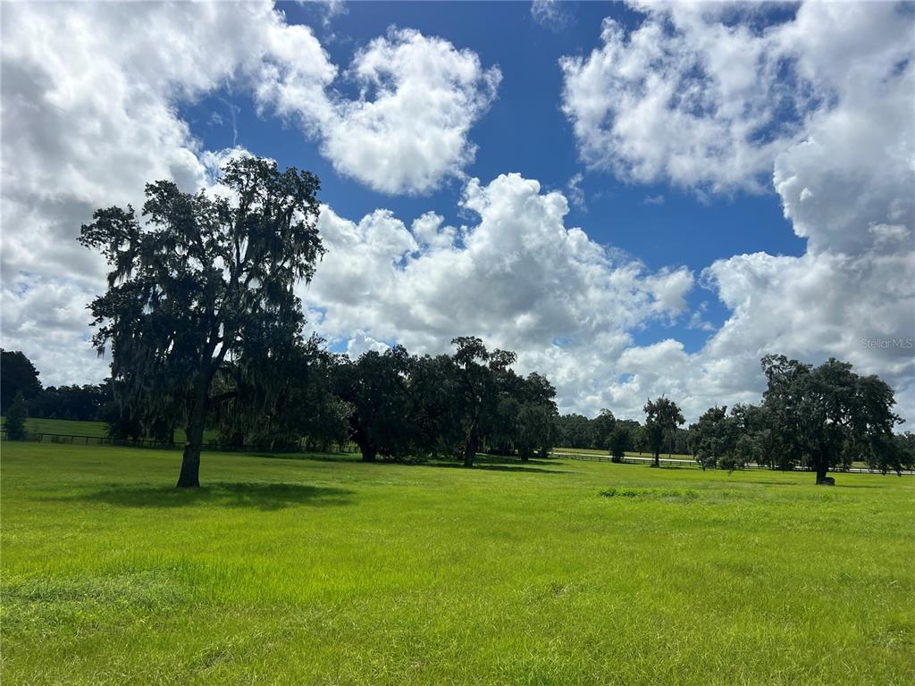 TBD NW 464B HIGHWAY, MORRISTON, FL — photo 5 of 11