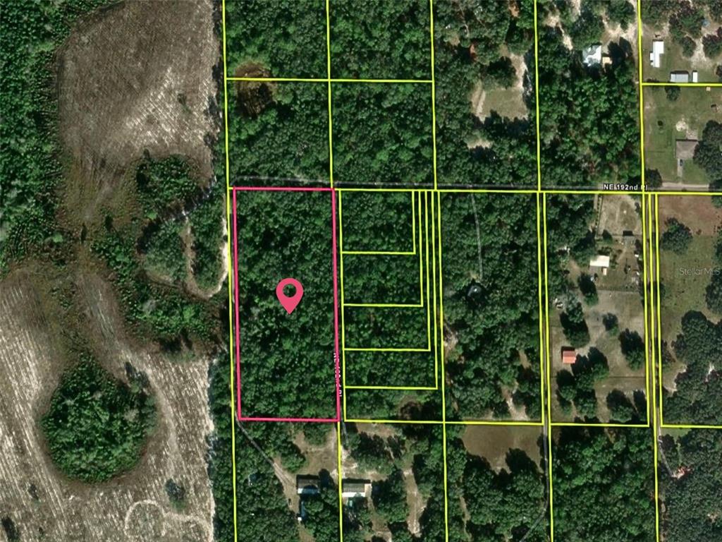 An aerial map view shows a wooded rectangular lot outlined in pink among other properties — XX, CITRA, FL