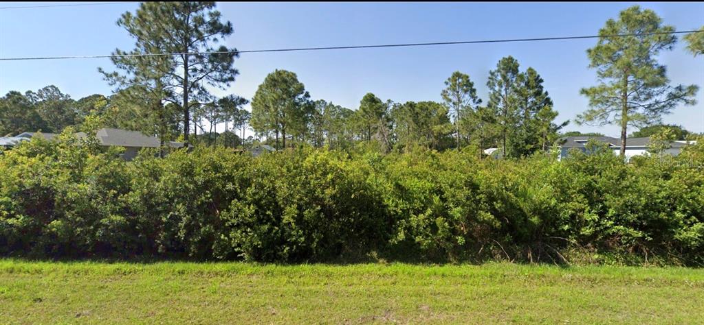 A vacant, overgrown lot with dense shrubs and scattered pine trees in a residential area — MAVERICK TRAIL, ST CLOUD, FL