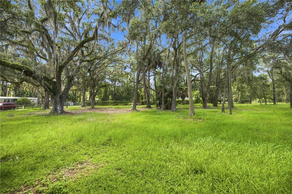14200 NE 165TH STREET, FORT MC COY, FL — photo 2 of 23