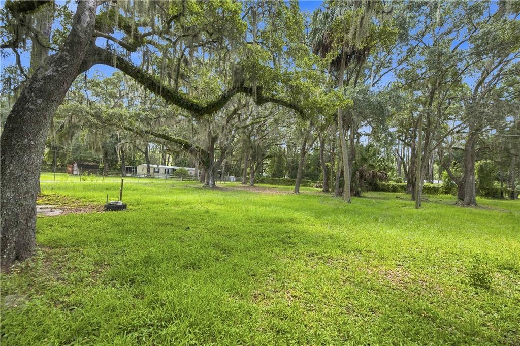 14200 NE 165TH STREET, FORT MC COY, FL — photo 4 of 23