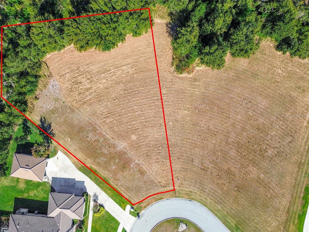 420 HAWK TALON DRIVE, LITHIA, FL — photo 2 of 30