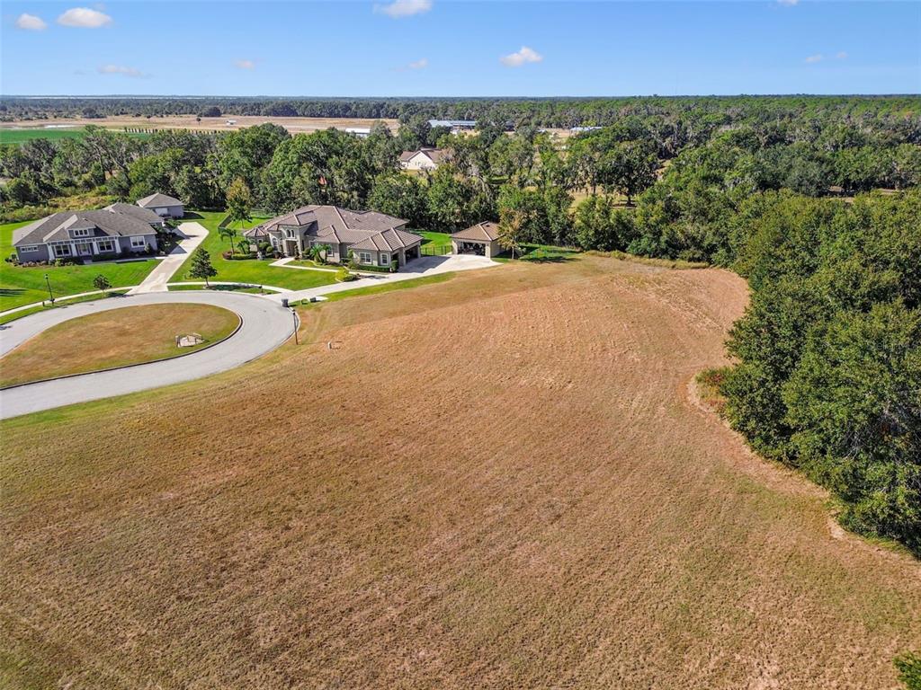 420 HAWK TALON DRIVE, LITHIA, FL — photo 5 of 30
