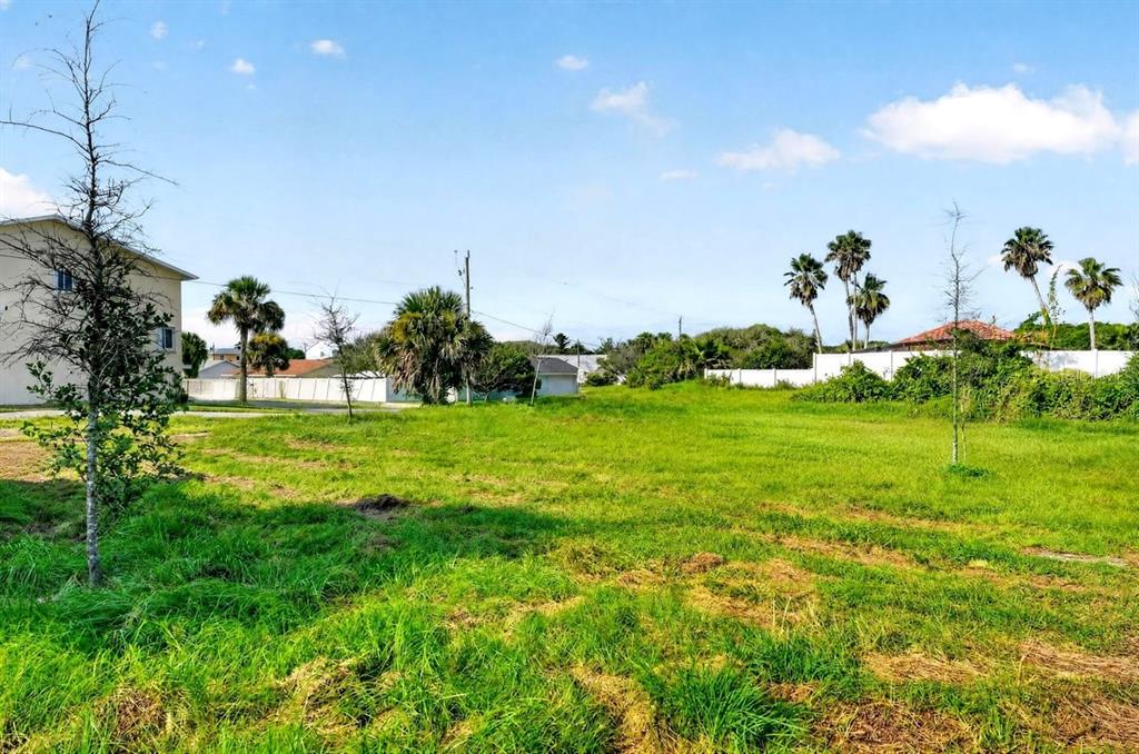 A grassy vacant lot sits next to a house with palm trees in the background — 4736 S ATLANTIC AVENUE, PONCE INLET, FL