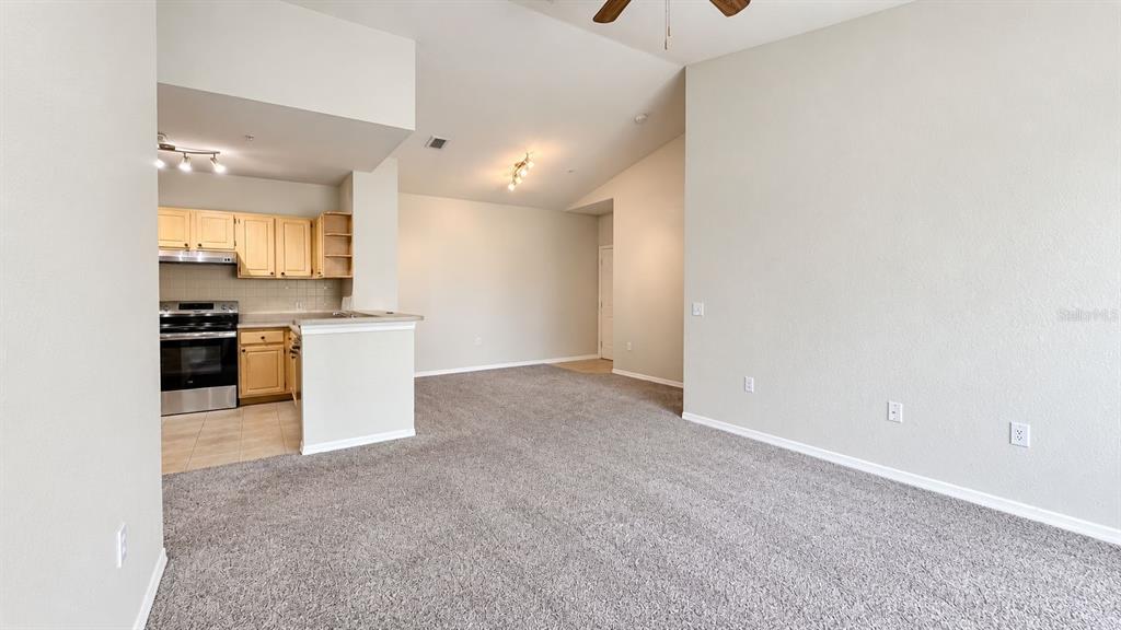 1150 LAKE SHADOW CIRCLE UNIT 3304, MAITLAND, FL — photo 5 of 29