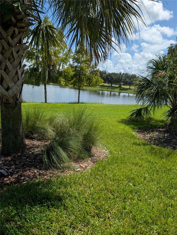 2358 PALM TREE DRIVE, POINCIANA, FL — photo 4 of 5