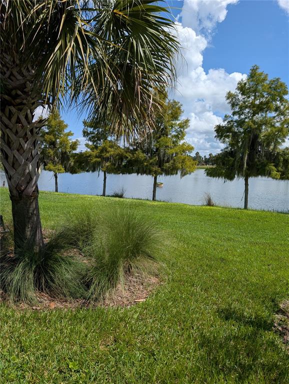 2358 PALM TREE DRIVE, POINCIANA, FL — photo 5 of 5
