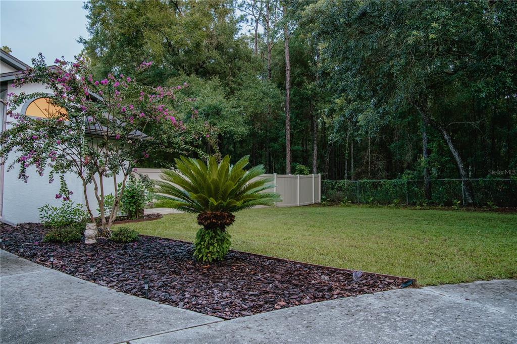 A sago palm stands in a mulched garden bed beside a house with pink flowers — 12009 S DAFFODIL POINT, FLORAL CITY, FL