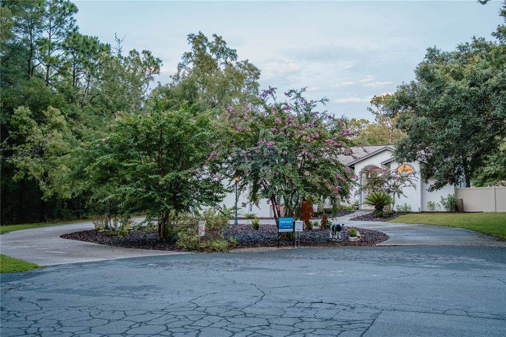 A circular driveway leads to a house partially obscured by flowering trees and landscaping — 12009 S DAFFODIL POINT, FLORAL CITY, FL