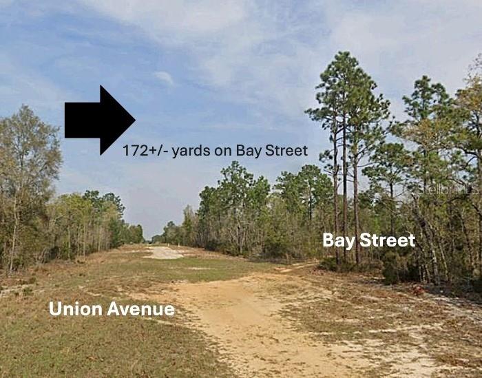 A dirt road intersection is surrounded by trees and brush under a cloudy sky — xx BAY STREET, INTERLACHEN, FL