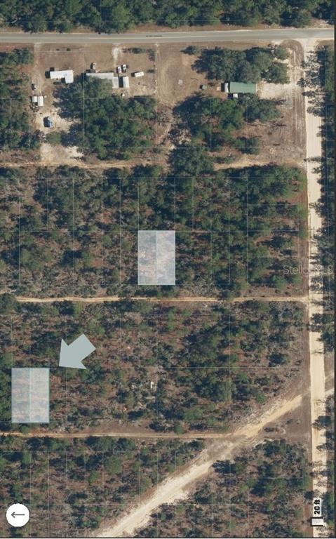 An aerial view of a wooded lot with two highlighted rectangular areas and dirt roads — xx BAY STREET, INTERLACHEN, FL