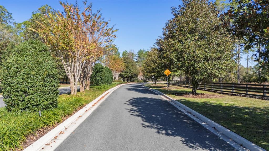A paved road winds through a landscaped residential area with trees and a wooden fence — 24250 DEEP SPRINGS LOOP, EUSTIS, FL