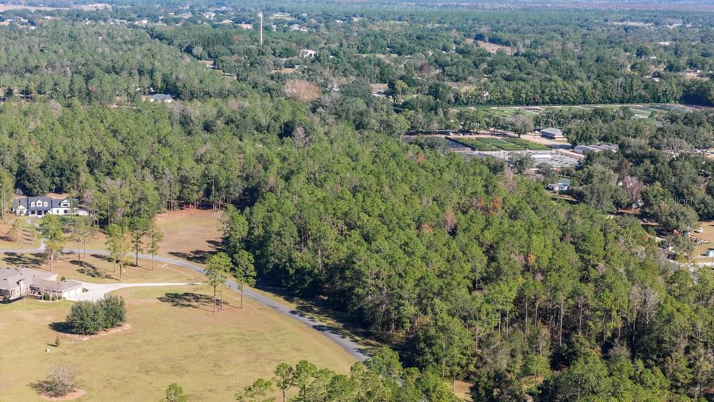 An aerial view shows a paved road winding through a grassy field and dense forest — 24250 DEEP SPRINGS LOOP, EUSTIS, FL