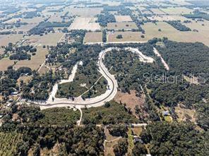 1459 Oxford Preserve TRAIL, OXFORD, FL — photo 4 of 13