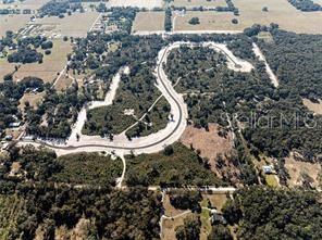 1459 Oxford Preserve TRAIL, OXFORD, FL — photo 5 of 13