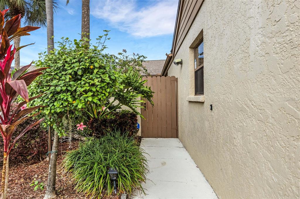 A concrete walkway leads to a wooden gate beside the stucco exterior of a house — 3441 BEEKMAN PLACE UNIT 40, SARASOTA, FL