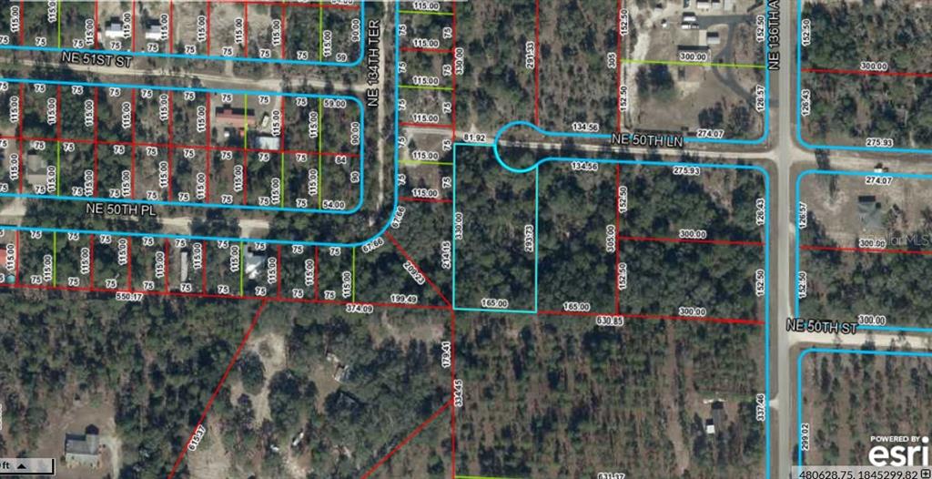 This is an aerial map showing property lot lines and road layouts in a wooded area — TBD NE 50TH LANE, WILLISTON, FL