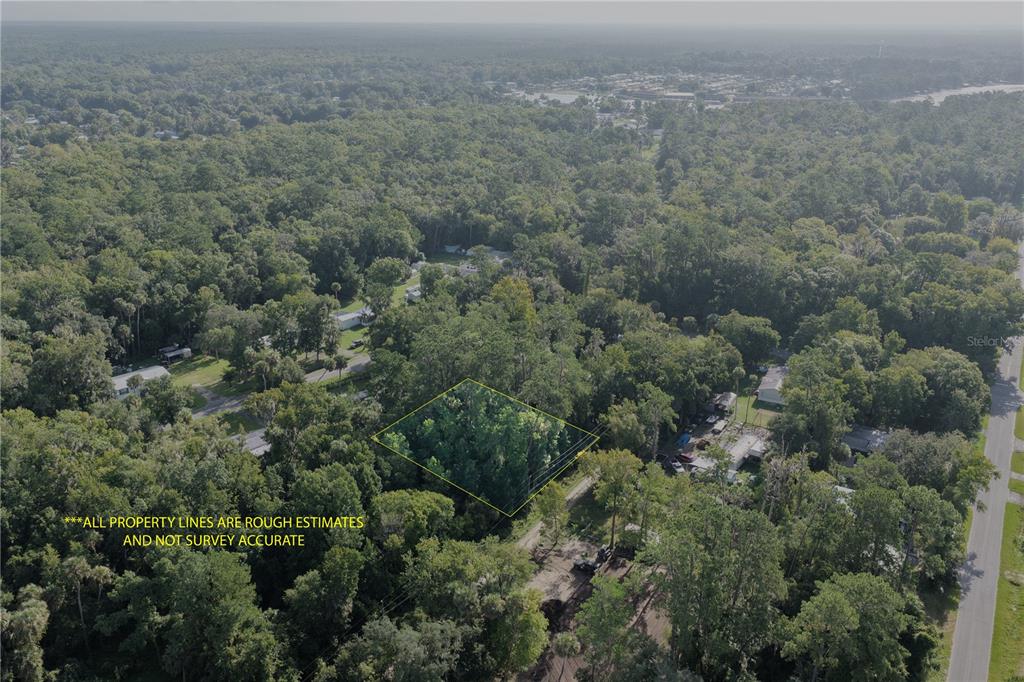 An aerial view shows a wooded, rectangular plot of land outlined in yellow — GOBBLER ROAD, ASTOR, FL