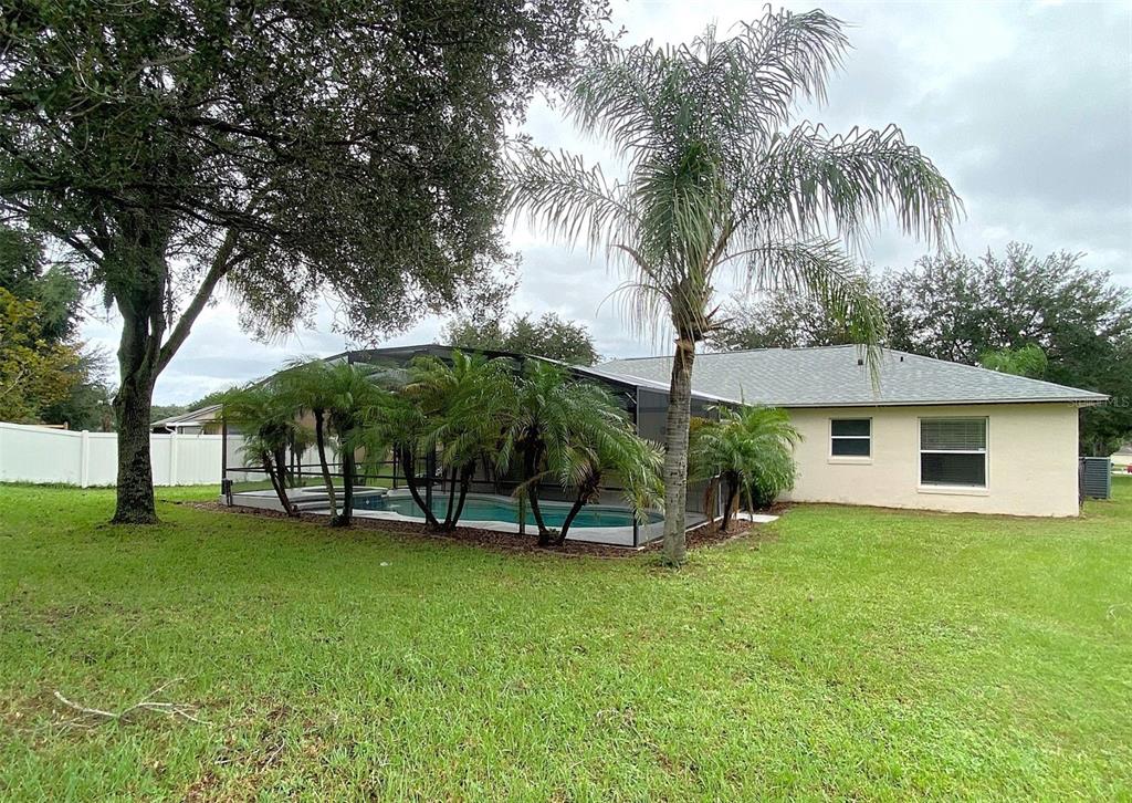 11705 CHAPELLE COURT, CLERMONT, FL — photo 3 of 5