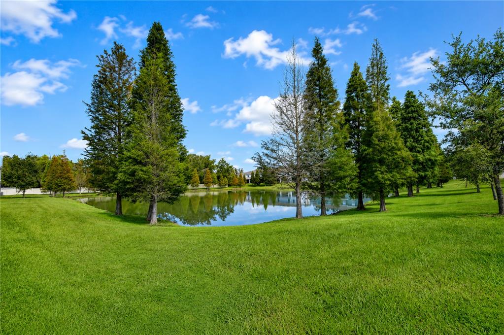 A grassy lawn slopes down to a small pond surrounded by tall evergreen trees — 3326 PLEASANT WILLOW COURT, BRANDON, FL
