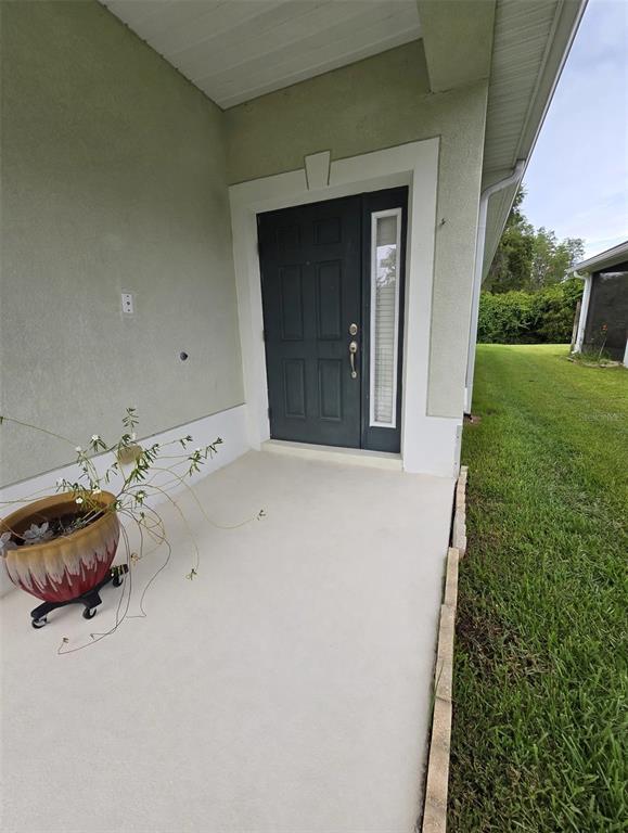 A concrete porch features a dark front door with a side light and a potted plant — 20008 NOB OAK AVENUE, TAMPA, FL
